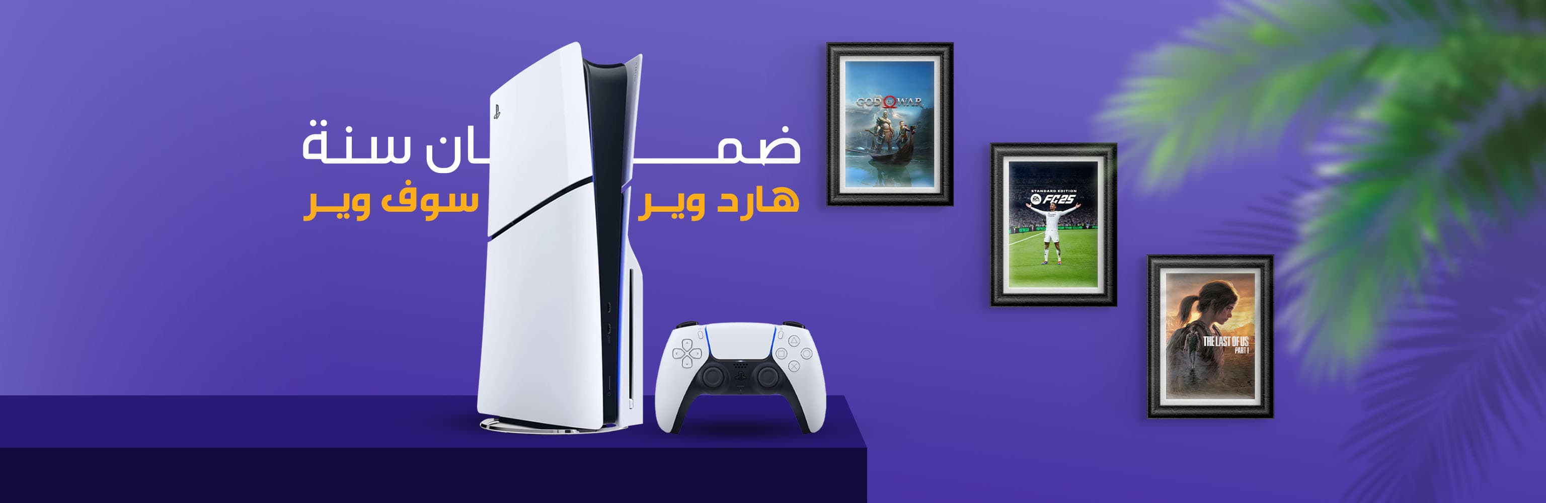 ضمان البلي